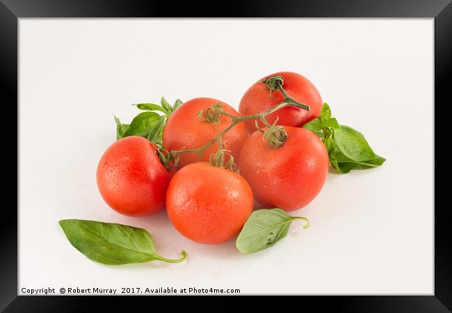  Tomatoes and Basil Framed Print by Robert Murray