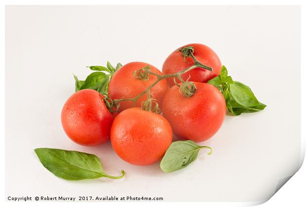  Tomatoes and Basil Print by Robert Murray