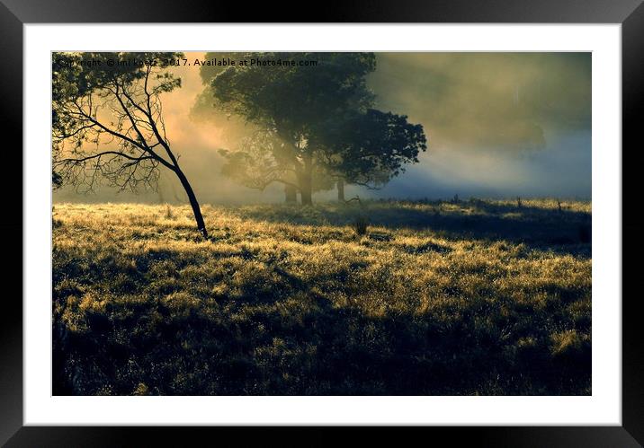 Sunrise at Mount Field National Park Framed Mounted Print by imi koetz