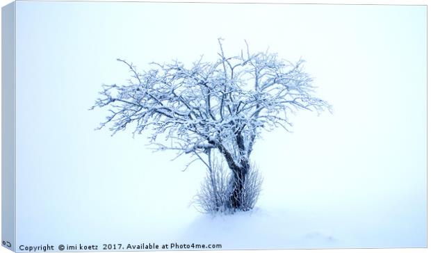 The snowy Tree Canvas Print by imi koetz