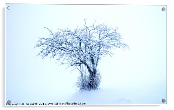 The snowy Tree Acrylic by imi koetz