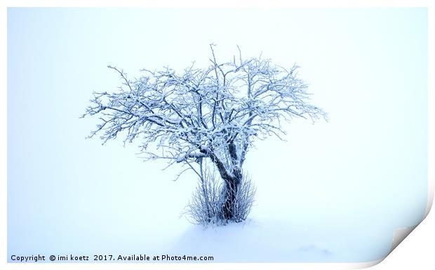 The snowy Tree Print by imi koetz