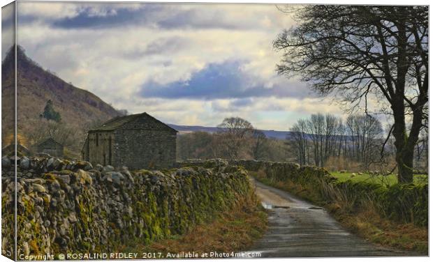 "Stone barns in the Yorkshire Dales"" Canvas Print by ROS RIDLEY
