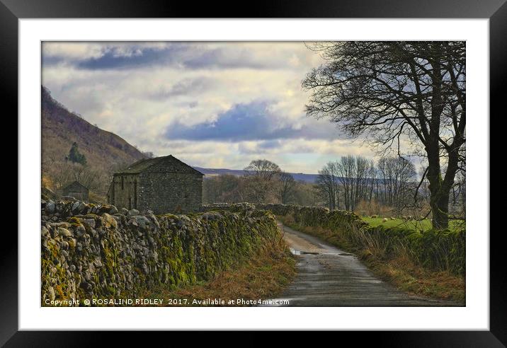 "Stone barns in the Yorkshire Dales"" Framed Mounted Print by ROS RIDLEY