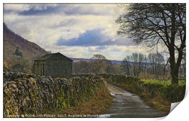 "Stone barns in the Yorkshire Dales"" Print by ROS RIDLEY