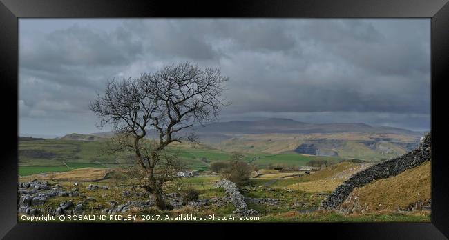 "Storm clouds gather over the Yorkshire Dales" Framed Print by ROS RIDLEY