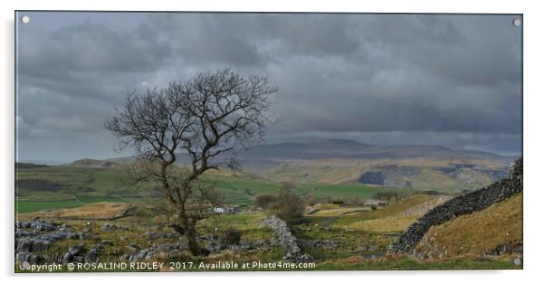 "Storm clouds gather over the Yorkshire Dales" Acrylic by ROS RIDLEY