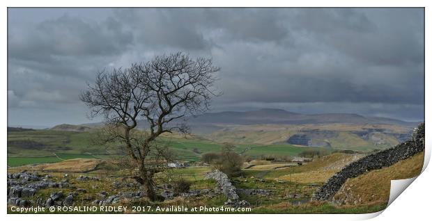 "Storm clouds gather over the Yorkshire Dales" Print by ROS RIDLEY