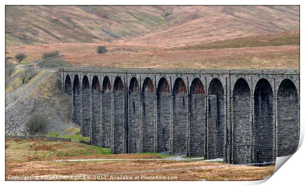 "Ribblehead Viaduct" Print by ROS RIDLEY