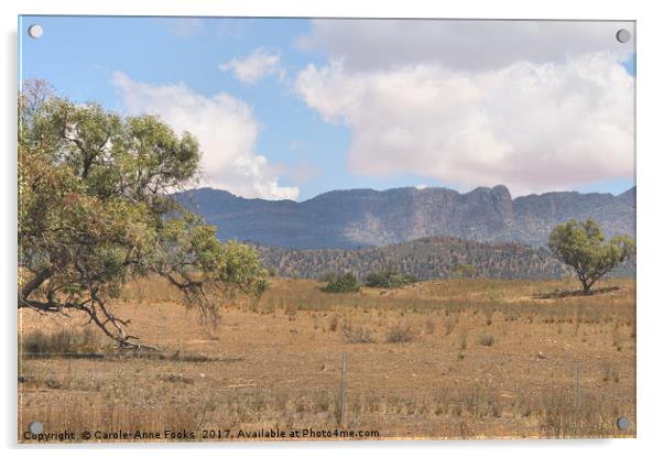 Elder Range, Flinders Ranges Acrylic by Carole-Anne Fooks
