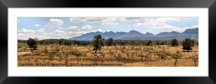 Panorama of the Wilpena Pound, Flinders Ranges Framed Mounted Print by Carole-Anne Fooks