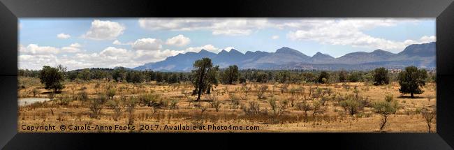 Panorama of the Wilpena Pound, Flinders Ranges Framed Print by Carole-Anne Fooks