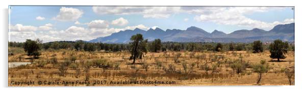 Panorama of the Wilpena Pound, Flinders Ranges Acrylic by Carole-Anne Fooks