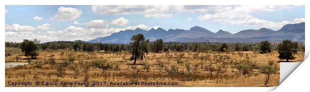 Panorama of the Wilpena Pound, Flinders Ranges Print by Carole-Anne Fooks