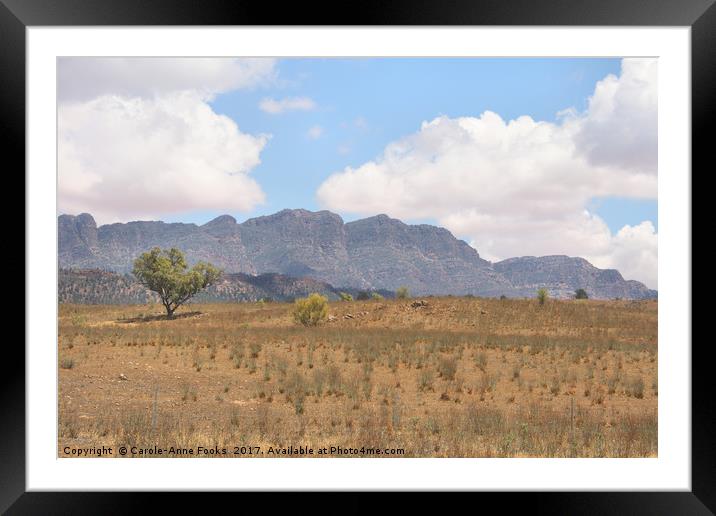 Elder Range, Flinders Ranges Framed Mounted Print by Carole-Anne Fooks
