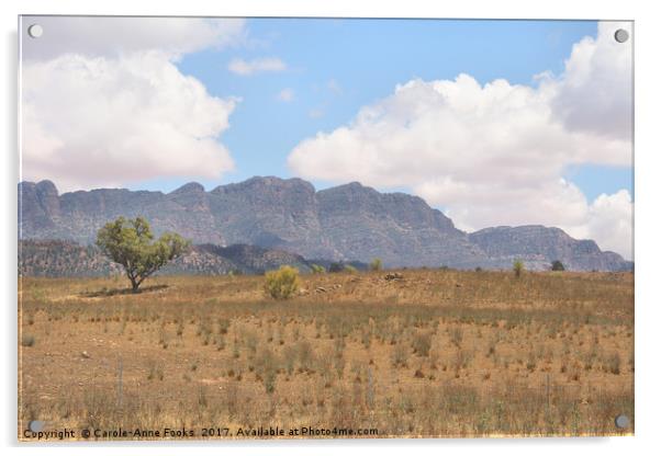 Elder Range, Flinders Ranges Acrylic by Carole-Anne Fooks
