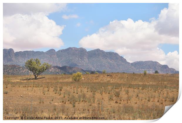 Elder Range, Flinders Ranges Print by Carole-Anne Fooks