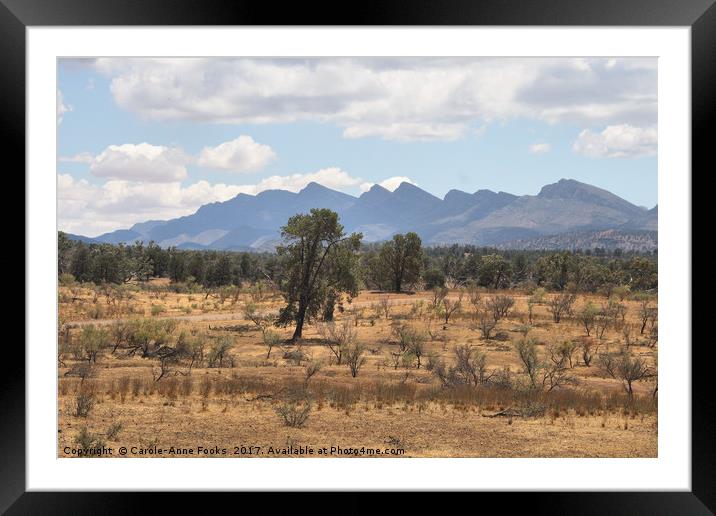 Wilpena Pound, Flinders Ranges Framed Mounted Print by Carole-Anne Fooks