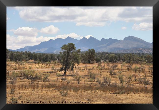 Wilpena Pound, Flinders Ranges Framed Print by Carole-Anne Fooks
