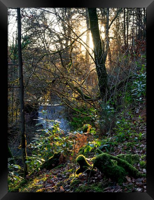 Fynnone Falls, Pembrokeshire, Wales, UK Framed Print by Mark Llewellyn