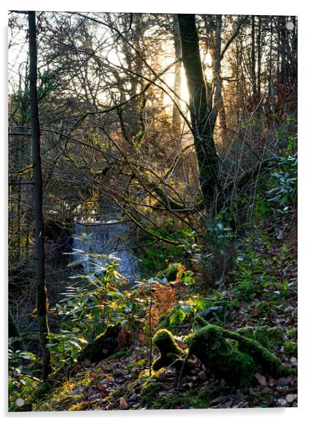 Fynnone Falls, Pembrokeshire, Wales, UK Acrylic by Mark Llewellyn