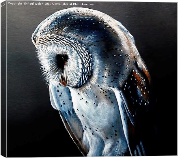Barn Owl Canvas Print by Paul Welsh