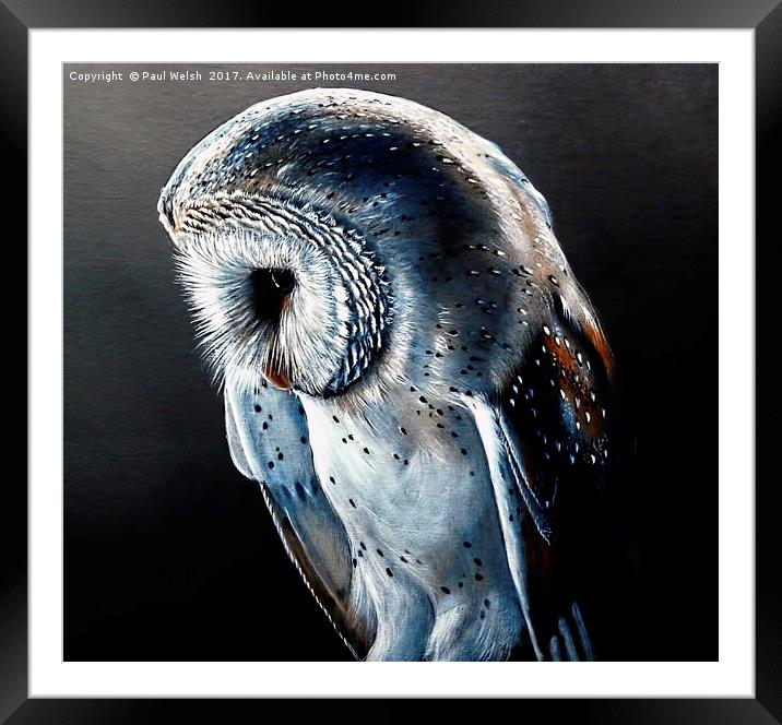Barn Owl Framed Mounted Print by Paul Welsh