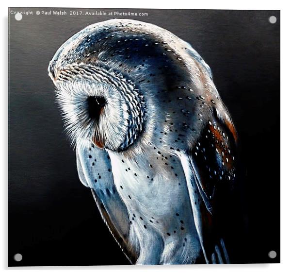 Barn Owl Acrylic by Paul Welsh