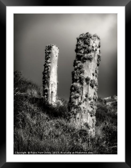 Lichen Stumps Framed Mounted Print by Robin Hart-Jones