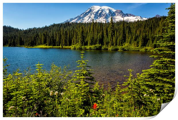 Wildflower Color by Reflection Lake and Mt Rainier Print by Belinda Greb