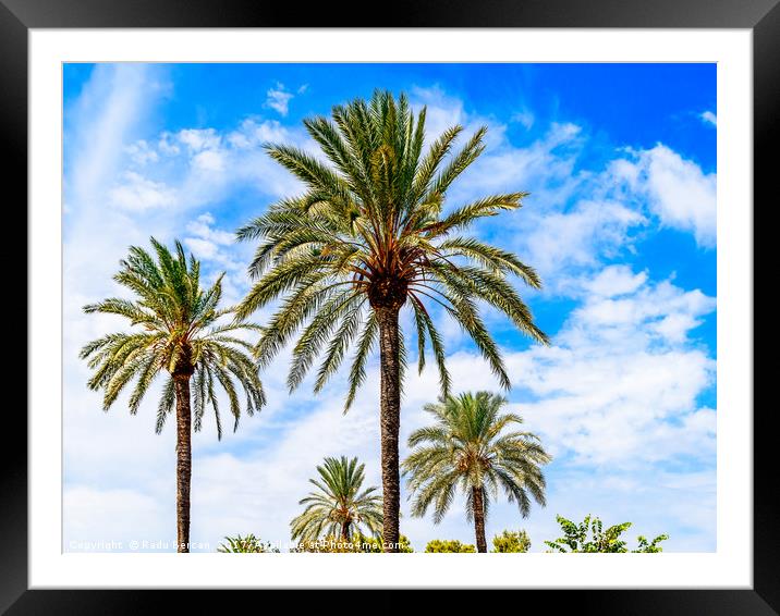 Green Island Palm Trees On Blue Sky Framed Mounted Print by Radu Bercan