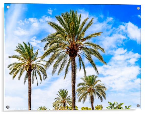 Green Island Palm Trees On Blue Sky Acrylic by Radu Bercan