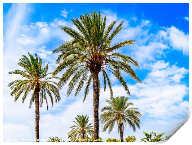 Green Island Palm Trees On Blue Sky Print by Radu Bercan