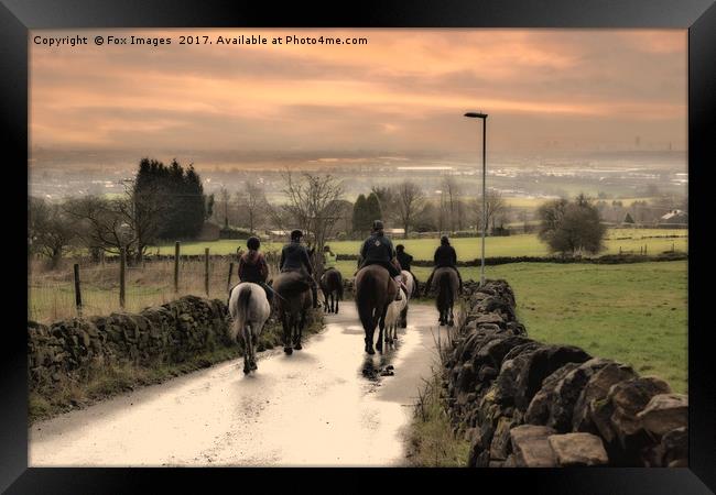 Horses in lancashire Framed Print by Derrick Fox Lomax