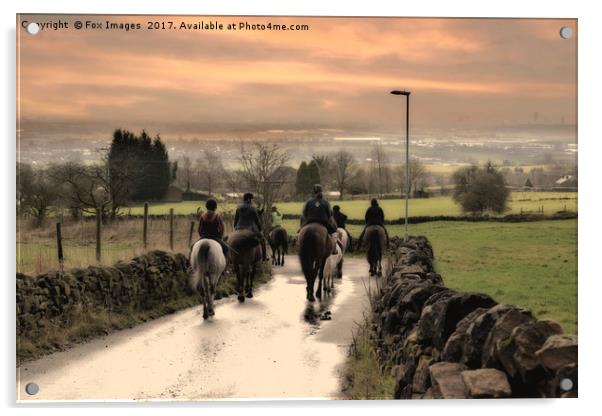 Horses in lancashire Acrylic by Derrick Fox Lomax