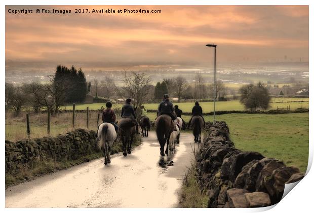 Horses in lancashire Print by Derrick Fox Lomax