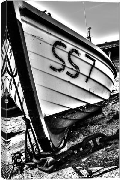 The Boat Canvas Print by Trevor Ellis