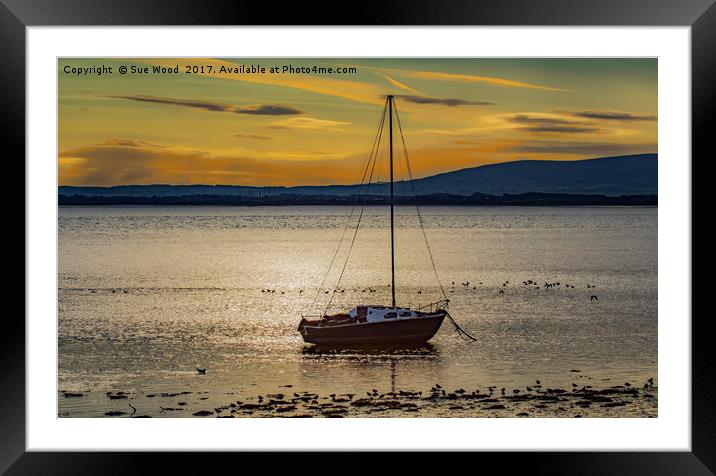 Port Carlisle sunrise, sail boat at anchor. Framed Mounted Print by Sue Wood