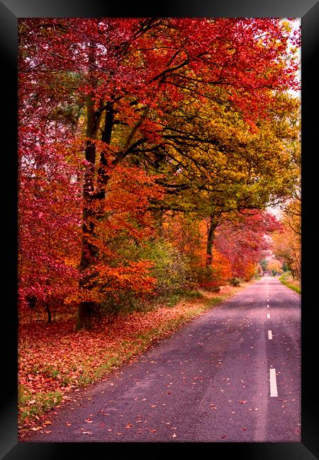 The Road To The Fall Framed Print by Darren Burroughs