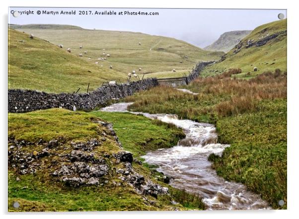 Yorkshire Dales Landscape Near Malham Acrylic by Martyn Arnold