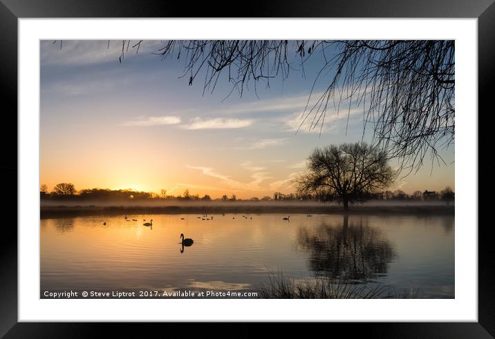 Sunrise at Bushy Park Framed Mounted Print by Steve Liptrot