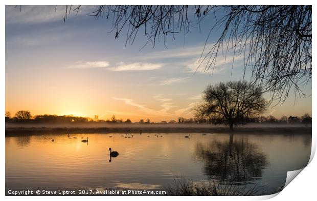 Sunrise at Bushy Park Print by Steve Liptrot