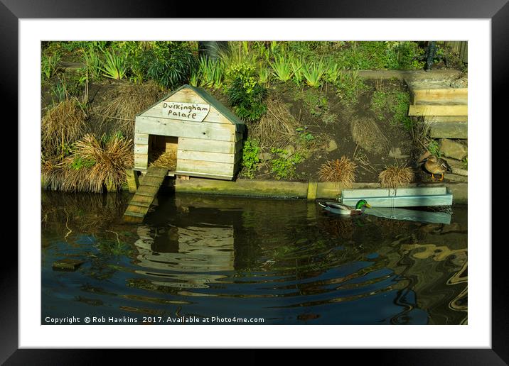 Duckingham Palace  Framed Mounted Print by Rob Hawkins