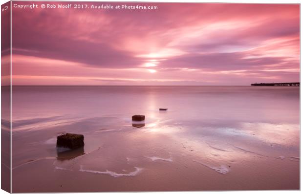 Walton in the pink Canvas Print by Rob Woolf