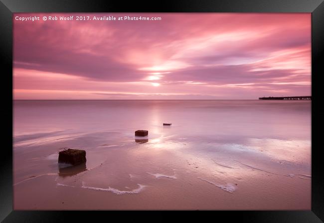 Walton in the pink Framed Print by Rob Woolf