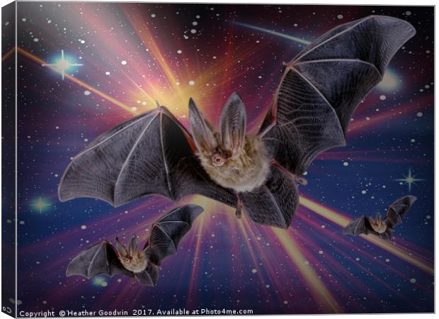 Bat Express. Canvas Print by Heather Goodwin