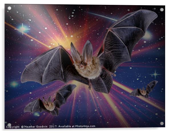 Bat Express. Acrylic by Heather Goodwin