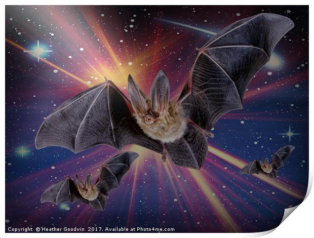 Bat Express. Print by Heather Goodwin