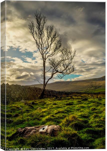 The Lone Tree Canvas Print by Gary Clarricoates
