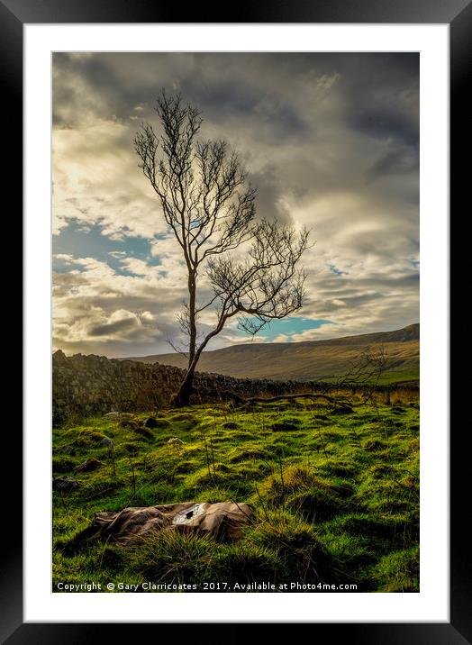 The Lone Tree Framed Mounted Print by Gary Clarricoates